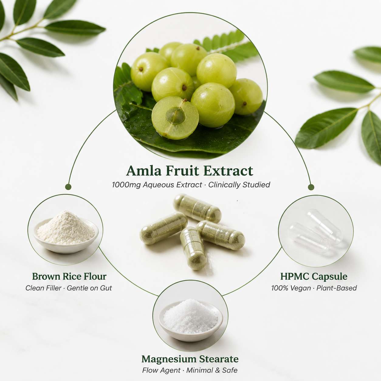 Almalure™ Pure Extract Formula